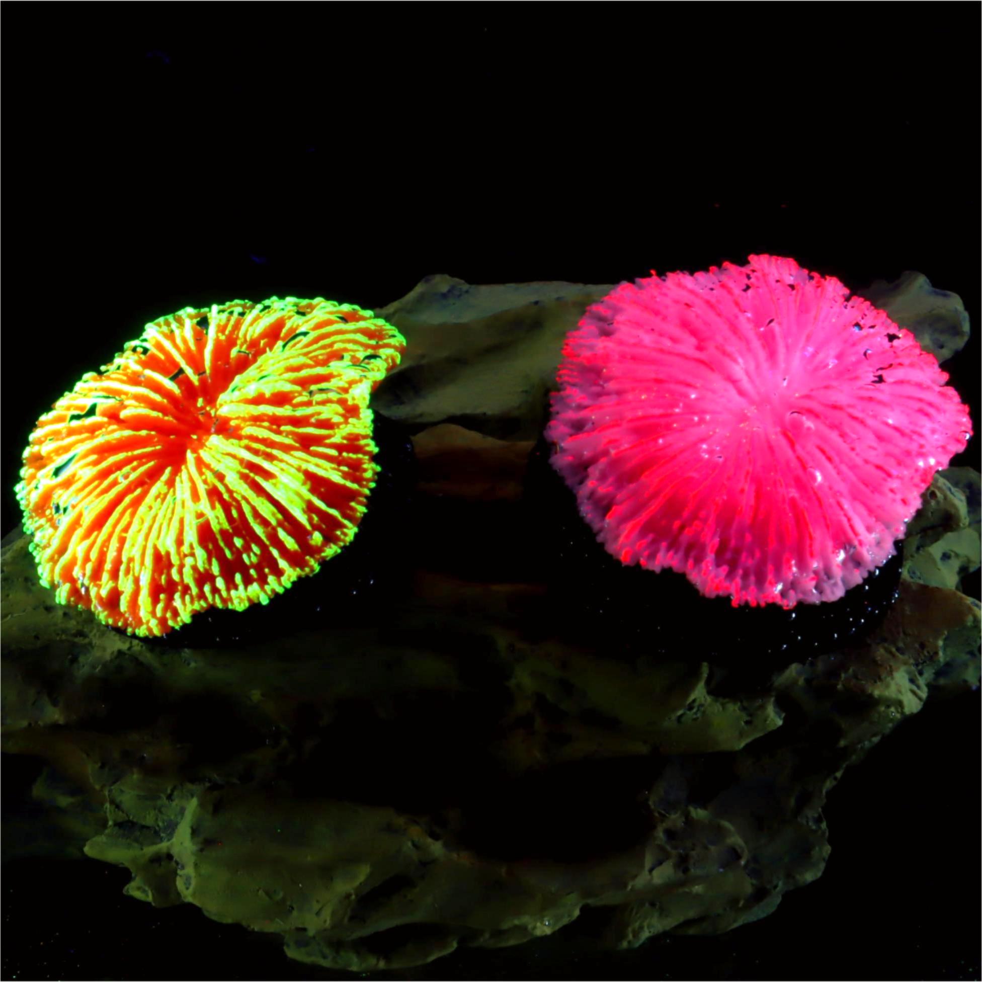Planted Aquarium Kit - 1 piece aquarium decoration saw coral,