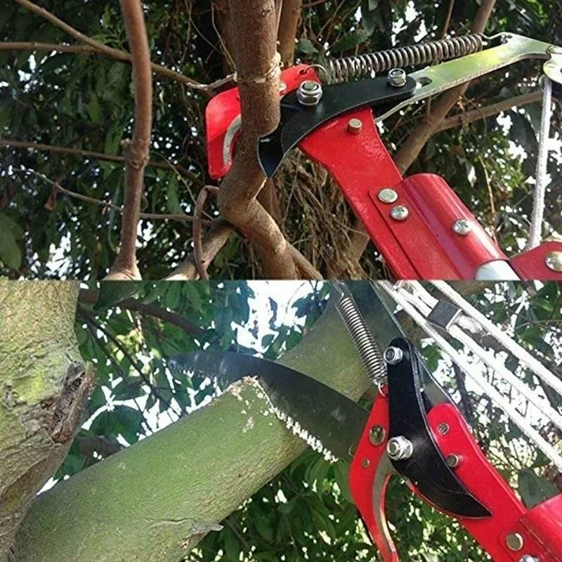 Trimming Scissor Set - Tree Scissors Pruning Tools High Altitude