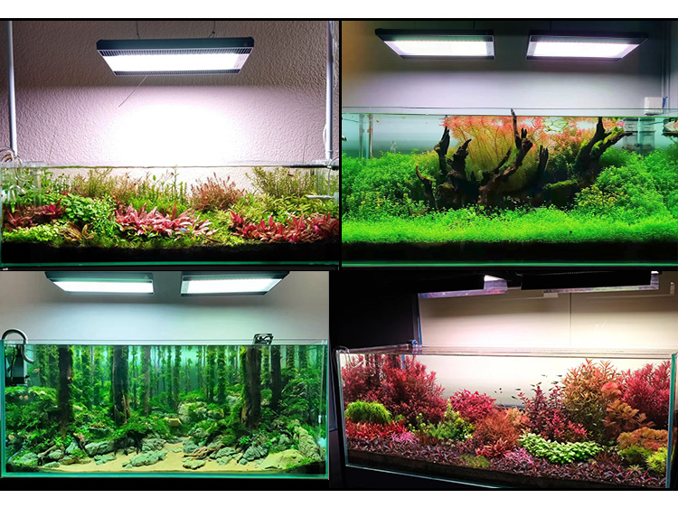 WEEK AQUA A430Pro LED Aquarium - Planted Aquarium Hanging Light reseña y precio
