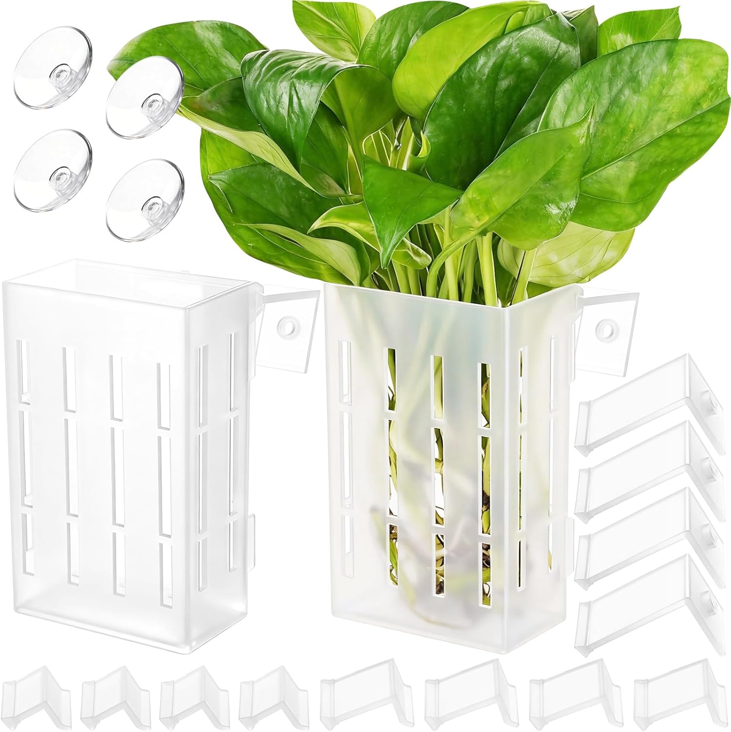 Large Aquarium Plant Holder wi - Aquarium Planted Tank reseña y precio