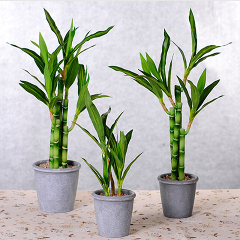 New 40cm rFtificial Lucky Bamb - Aquarium Planted Tank reseña y precio