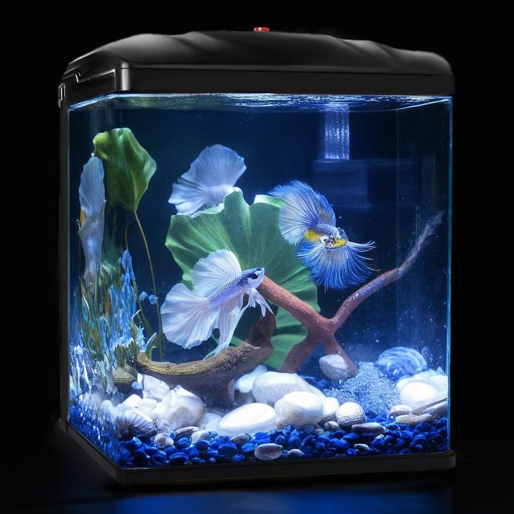 Small ish Tank, 2 Gallon Glass - Planted Aquarium Cleaning Kit reseña y precio