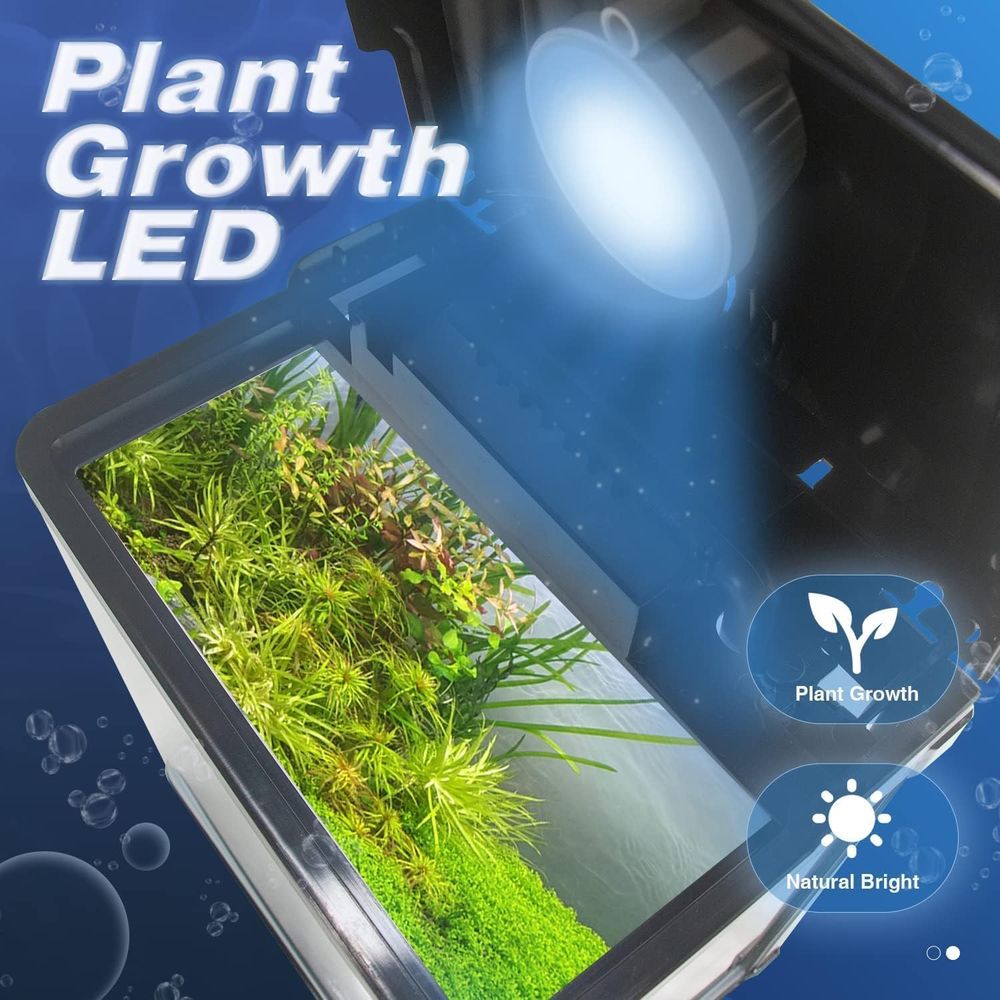 Small ish Tank, 2 Gallon Glass - Planted Aquarium Cleaning Kit reseña y precio