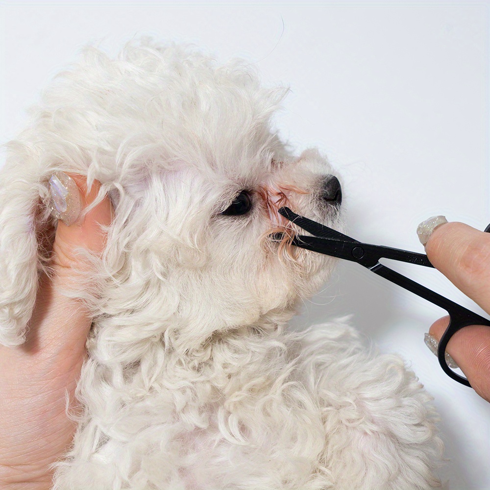 Pet Facial Cleaning Comb Set R - Trimming Scissor Set reseña y precio
