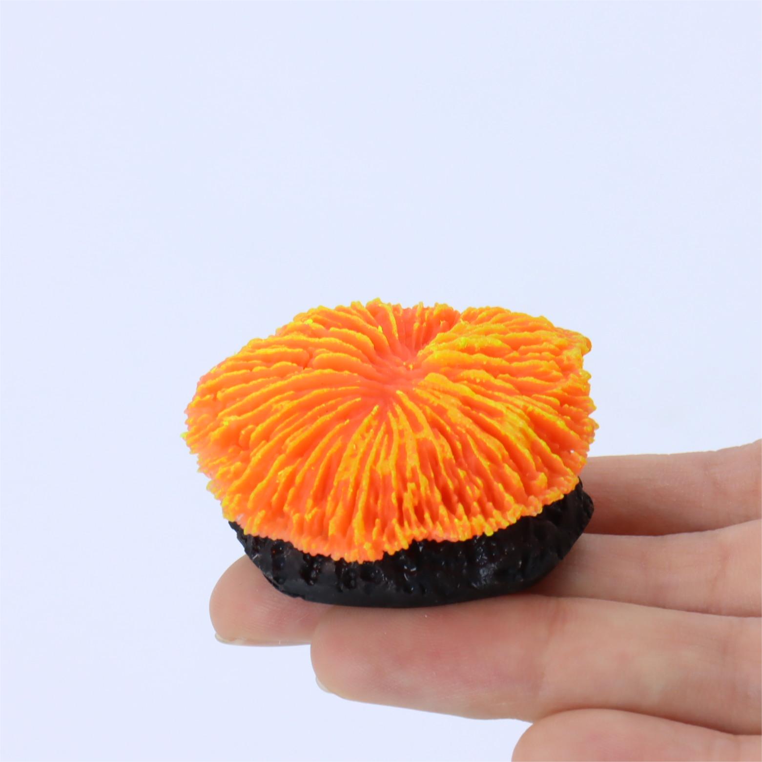 1 piece aquarium decoration sa - Planted Aquarium Kit reseña y precio