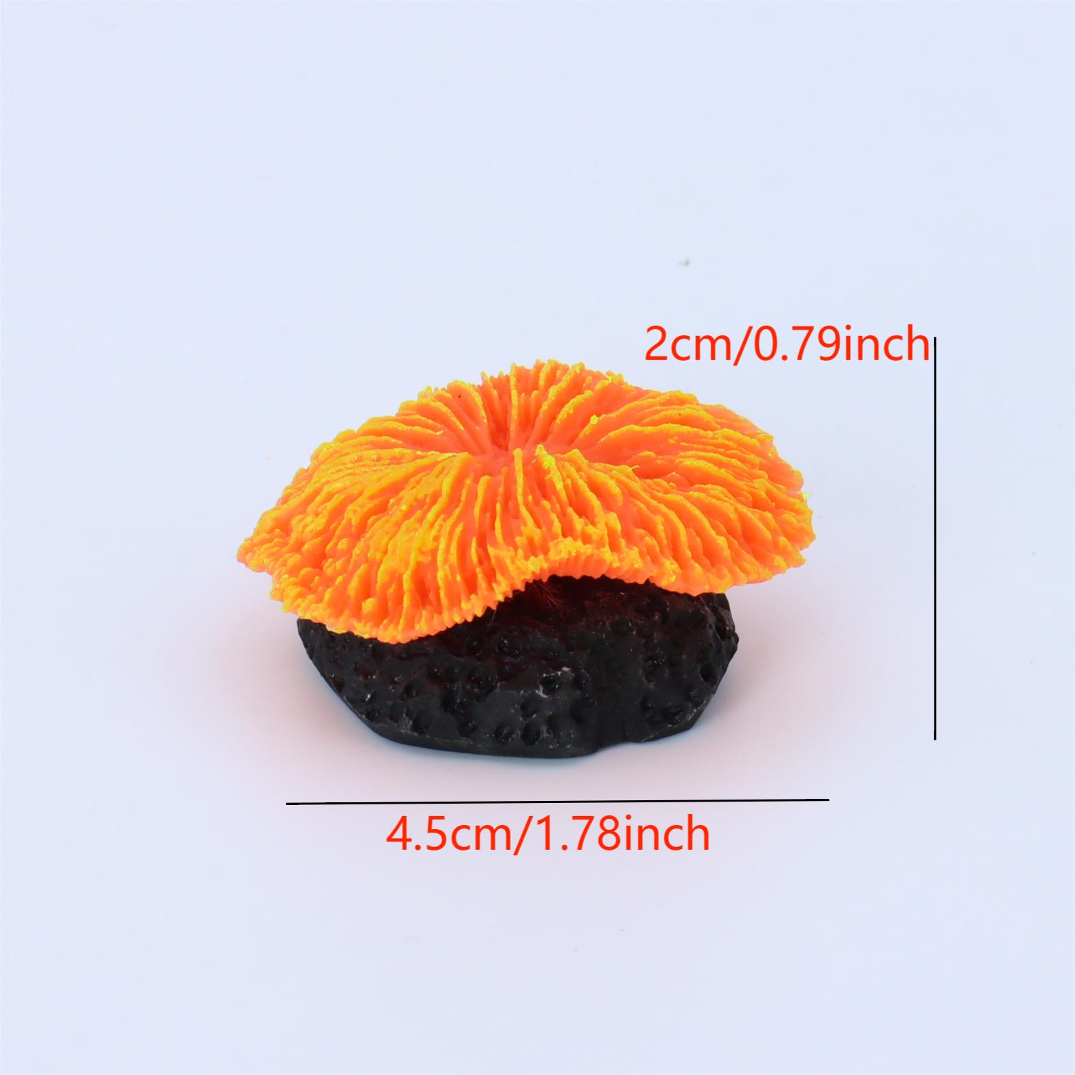 1 piece aquarium decoration sa - Planted Aquarium Kit reseña y precio