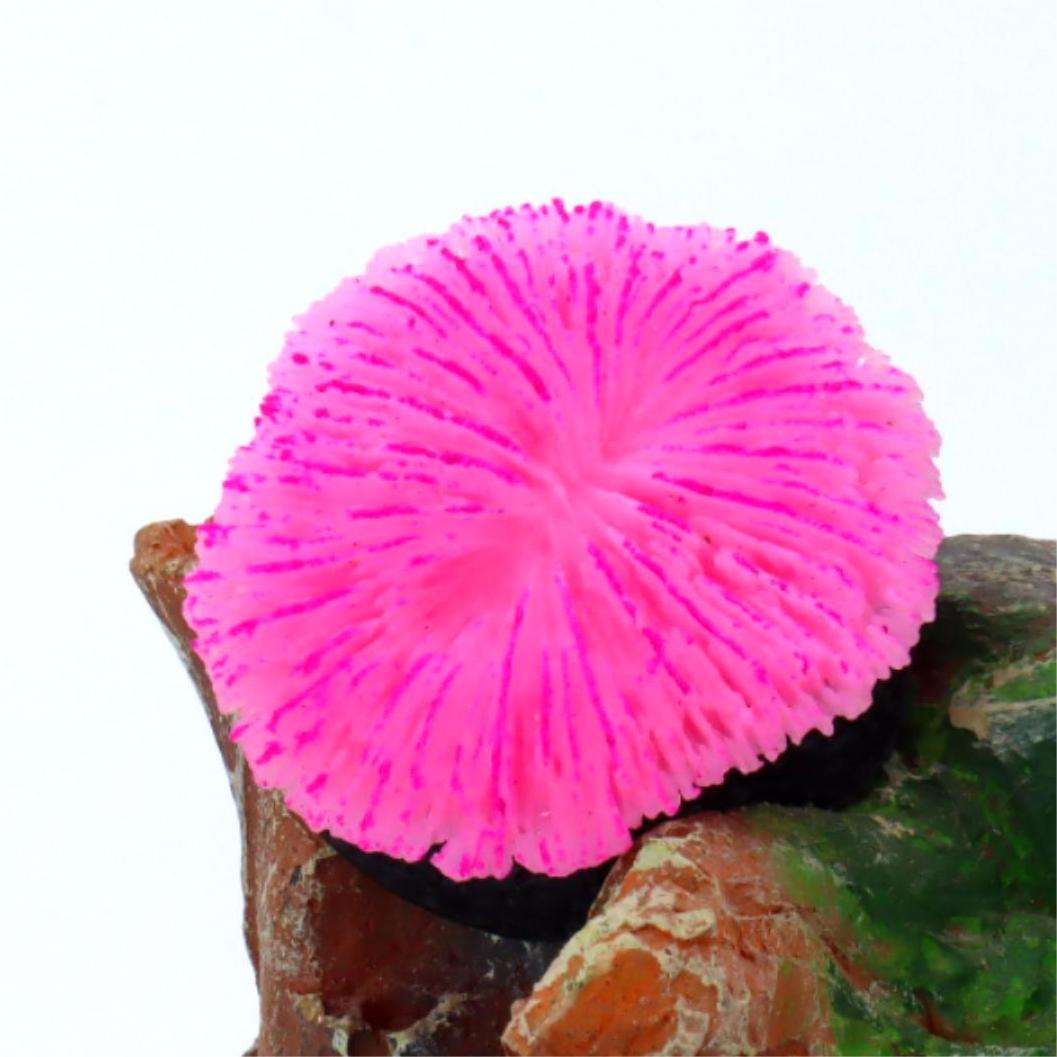 1 piece aquarium decoration sa - Planted Aquarium Kit reseña y precio