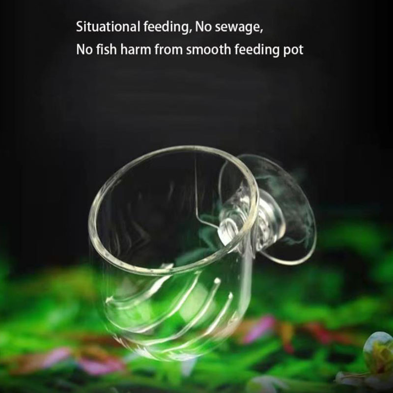 Aquarium Decoration Hanging Fi - Planted Aquarium Kit reseña y precio