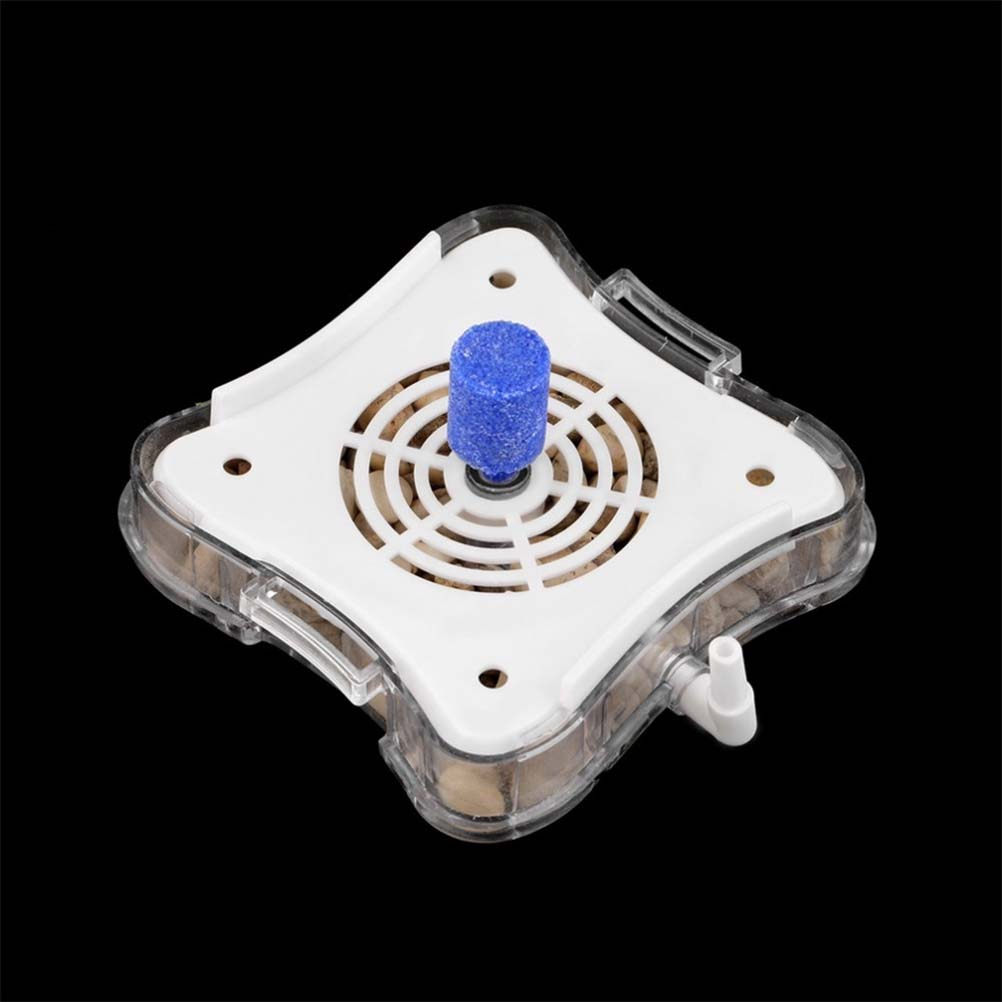 Mini Aquarium Fish Tank Pneuma - Aquarium Sand White reseña y precio