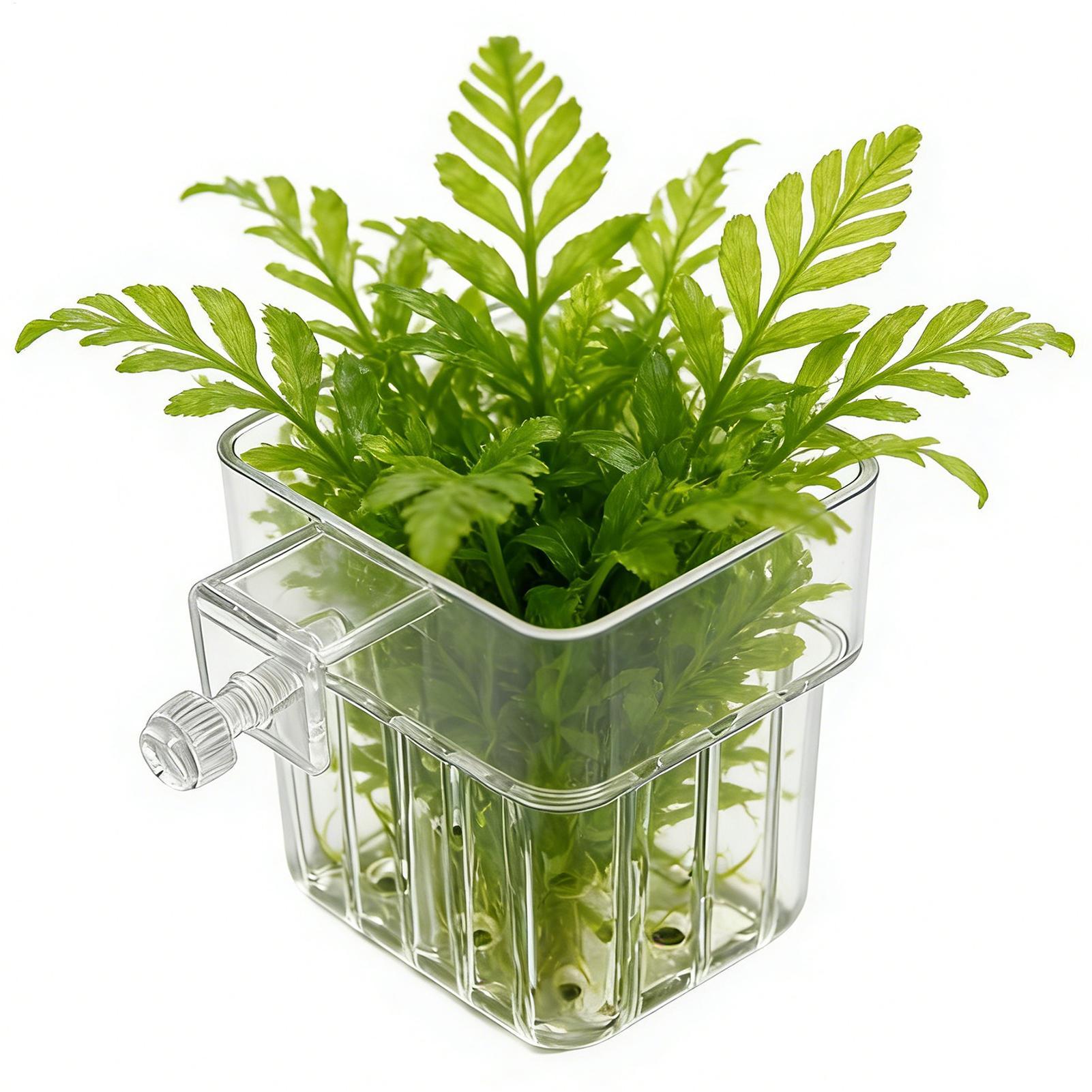 1pcs Plant Holder For Fish Tan - Planted Aquarium Kit reseña y precio