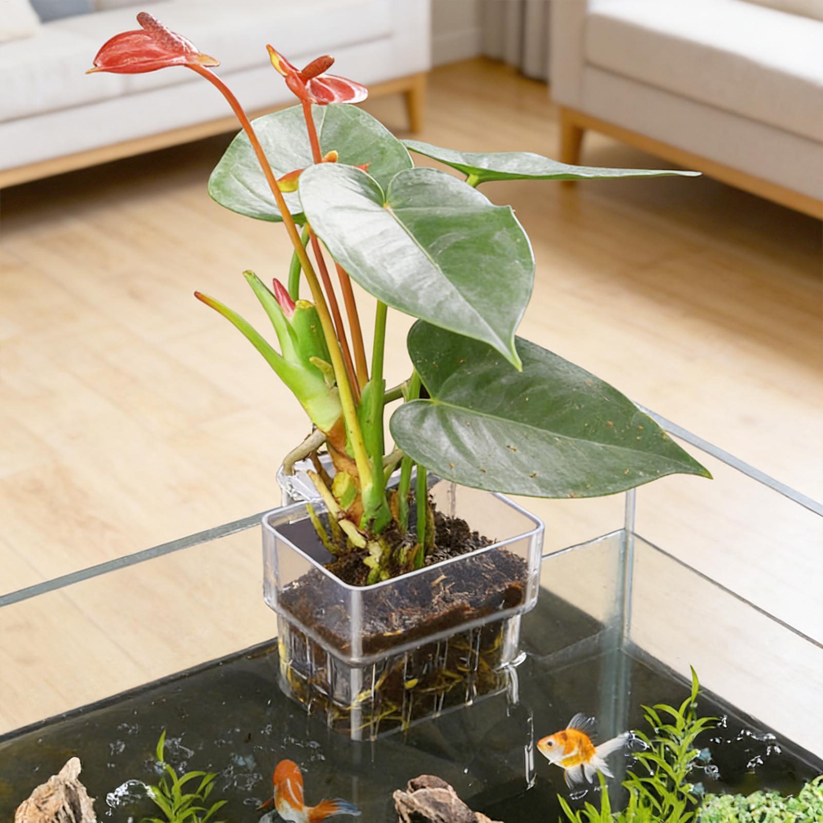 1pcs Plant Holder For Fish Tan - Planted Aquarium Kit reseña y precio