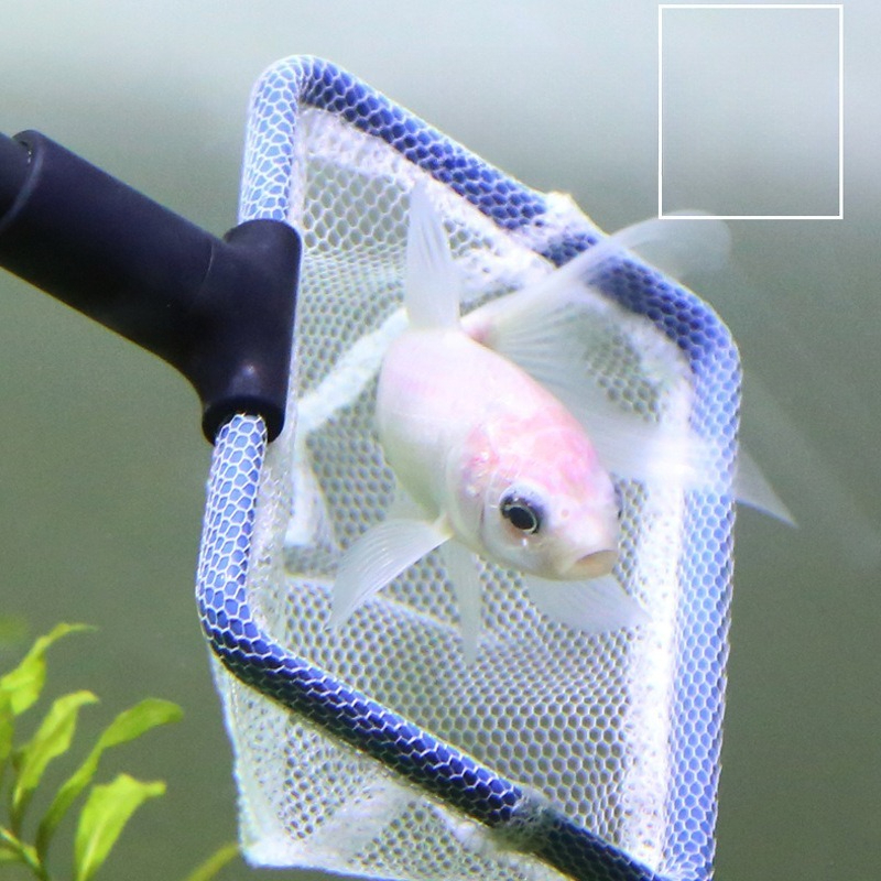 Aquarium Cleaning Tool Set Mul - Planted Aquarium Cleaning Kit reseña y precio