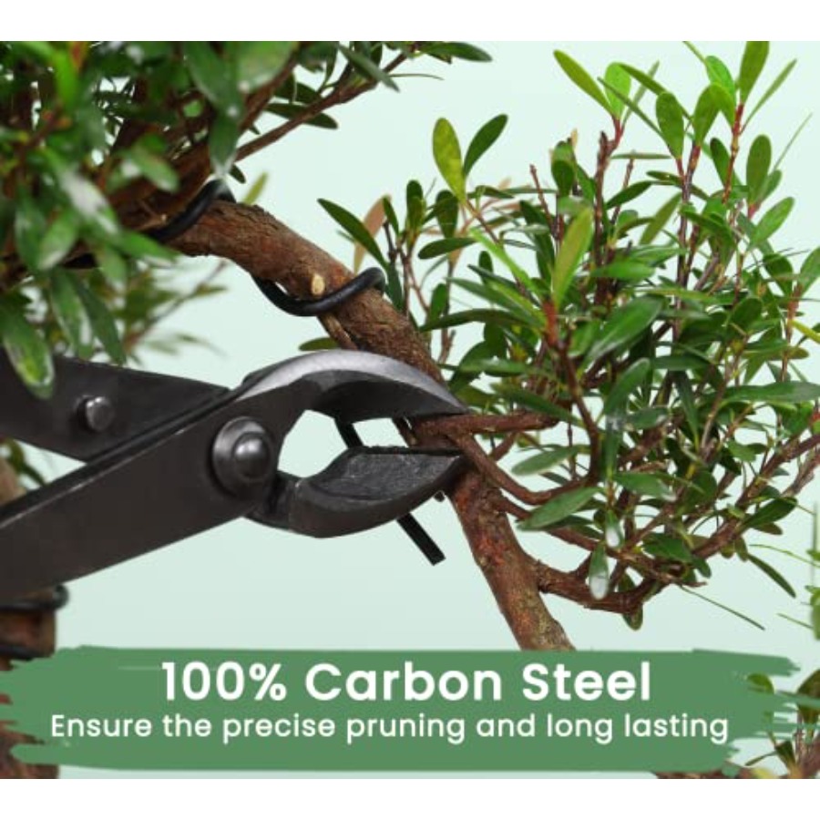 Bonsai Tools Set with Wood Box - Trimming Scissor Set reseña y precio