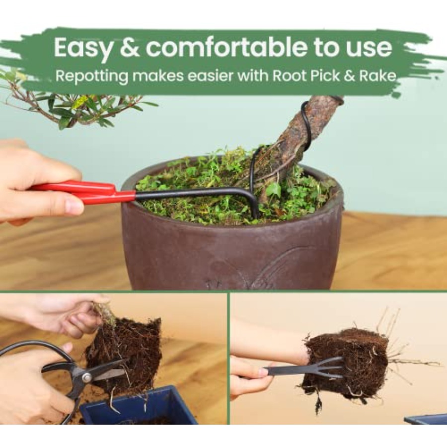 Bonsai Tools Set with Wood Box - Trimming Scissor Set reseña y precio
