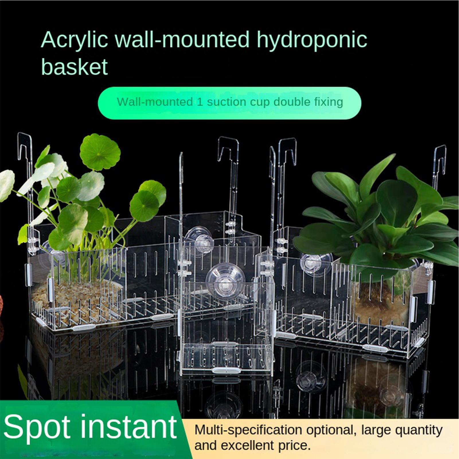 Acrylic Aquarium Plant Holder  - Aquarium Plant Vine reseña y precio