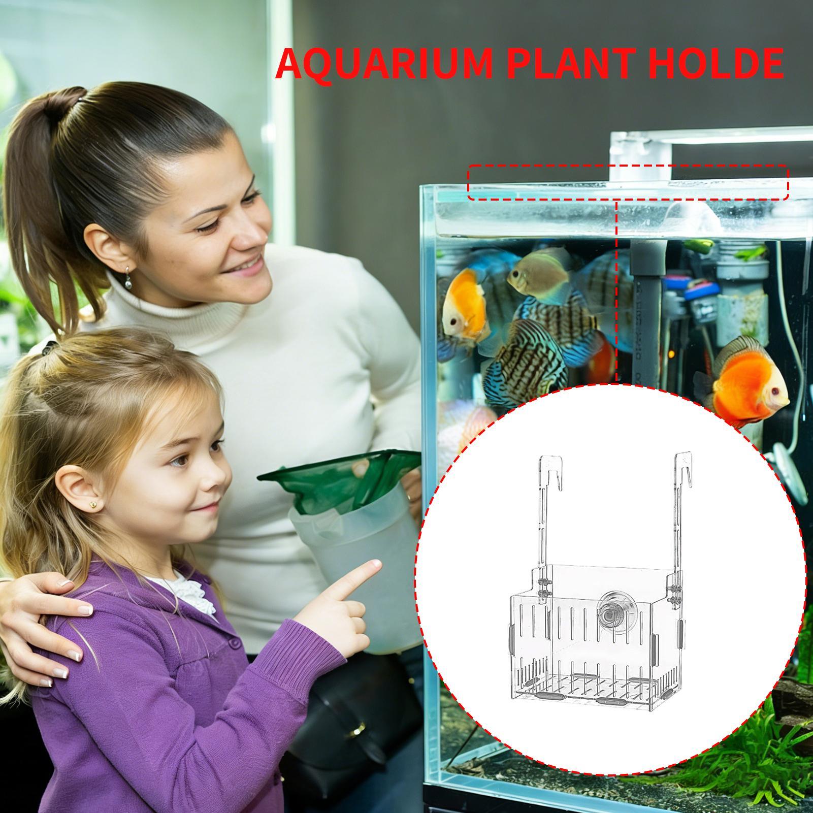 Acrylic Aquarium Plant Holder  - Aquarium Plant Vine reseña y precio