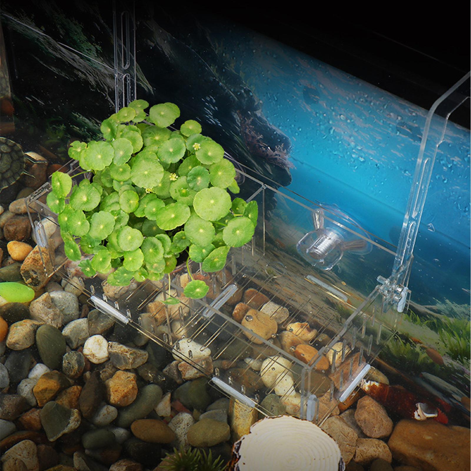 Acrylic Aquarium Plant Holder  - Aquarium Plant Vine reseña y precio