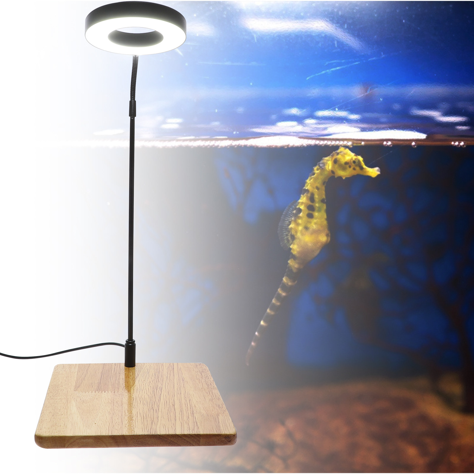 1Pcs Aquarium Fill Light High  - Aquarium Planted Tank reseña y precio