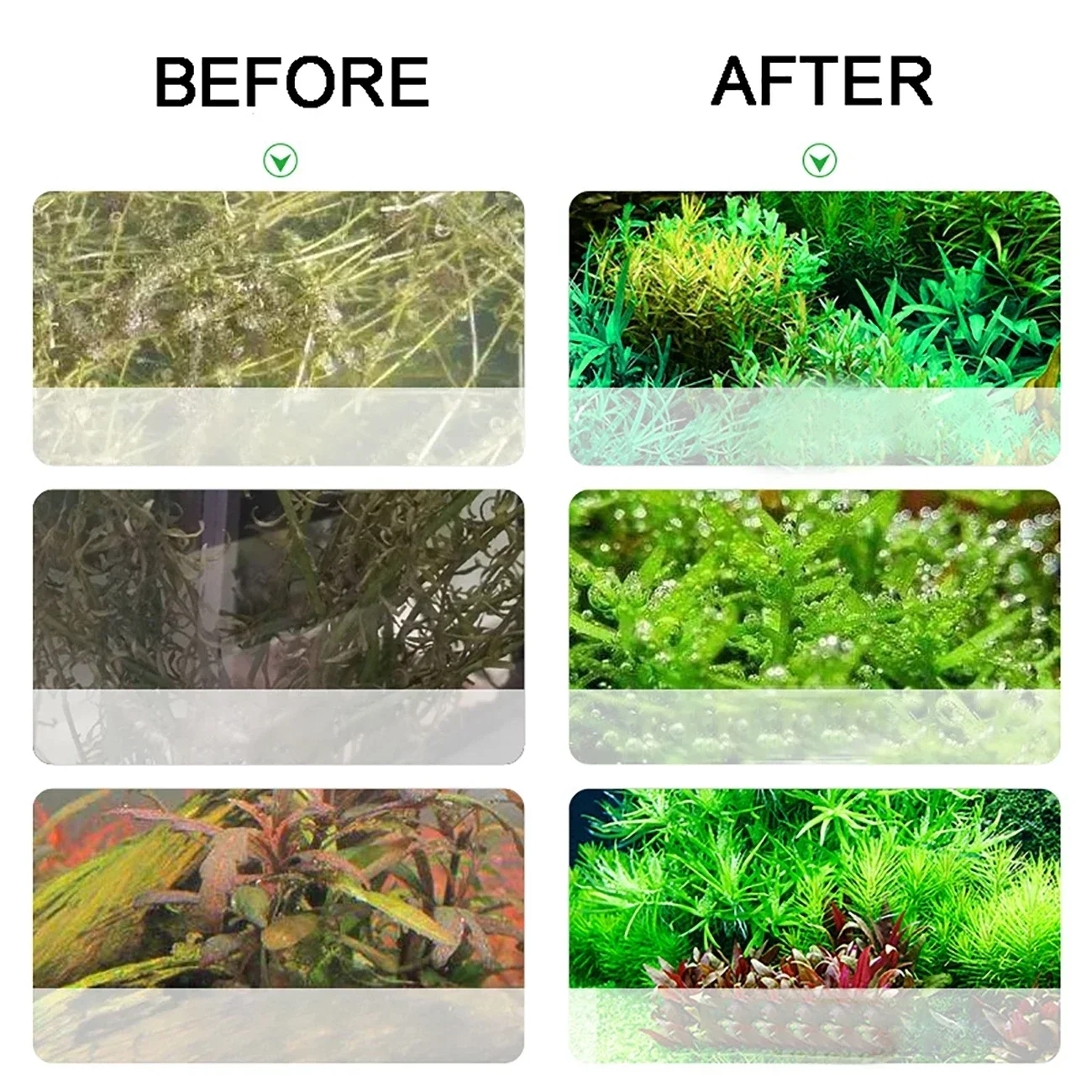 Aquarium CO2 Generator 2L DIY  - Planted Aquarium Kit reseña y precio