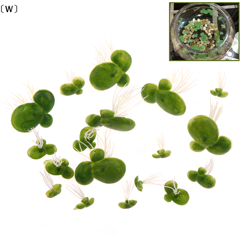 〔W〕18pcs/set Aquarium Fish Tan - Planted Aquarium Kit reseña y precio