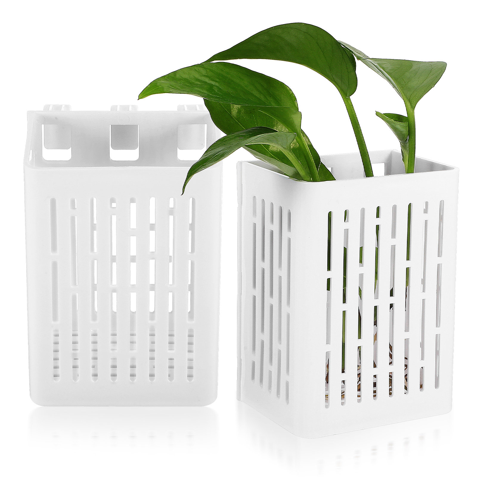 2pcs Aquarium Plant Baskets Pl - Aquarium Planted Tank reseña y precio