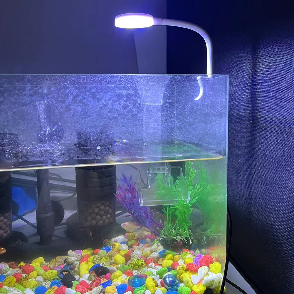 8W Aquarium Light Aquatic Plan - Planted Aquarium Kit reseña y precio