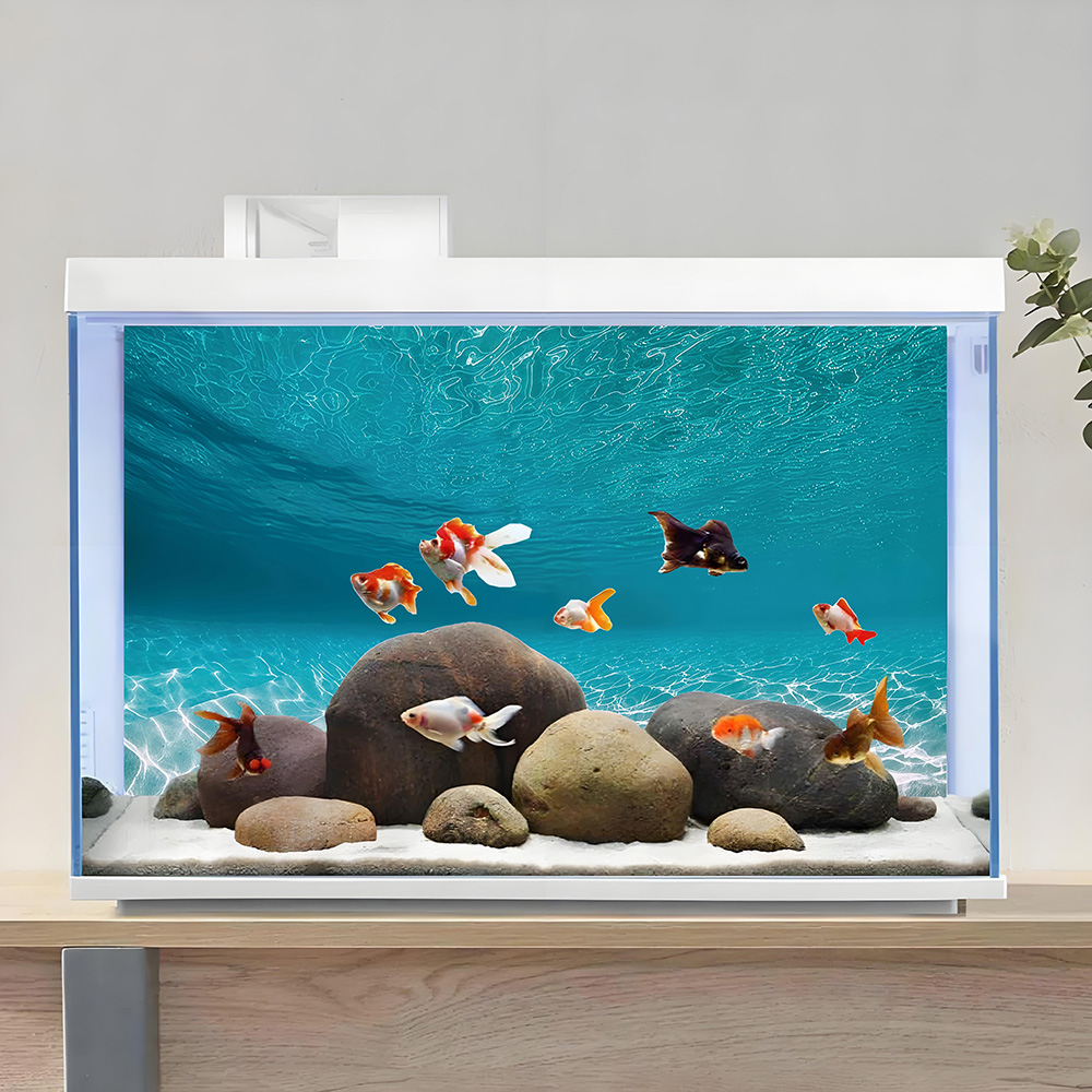 Sunshine white sand，Fish tank  - Aquarium Sand White reseña y precio