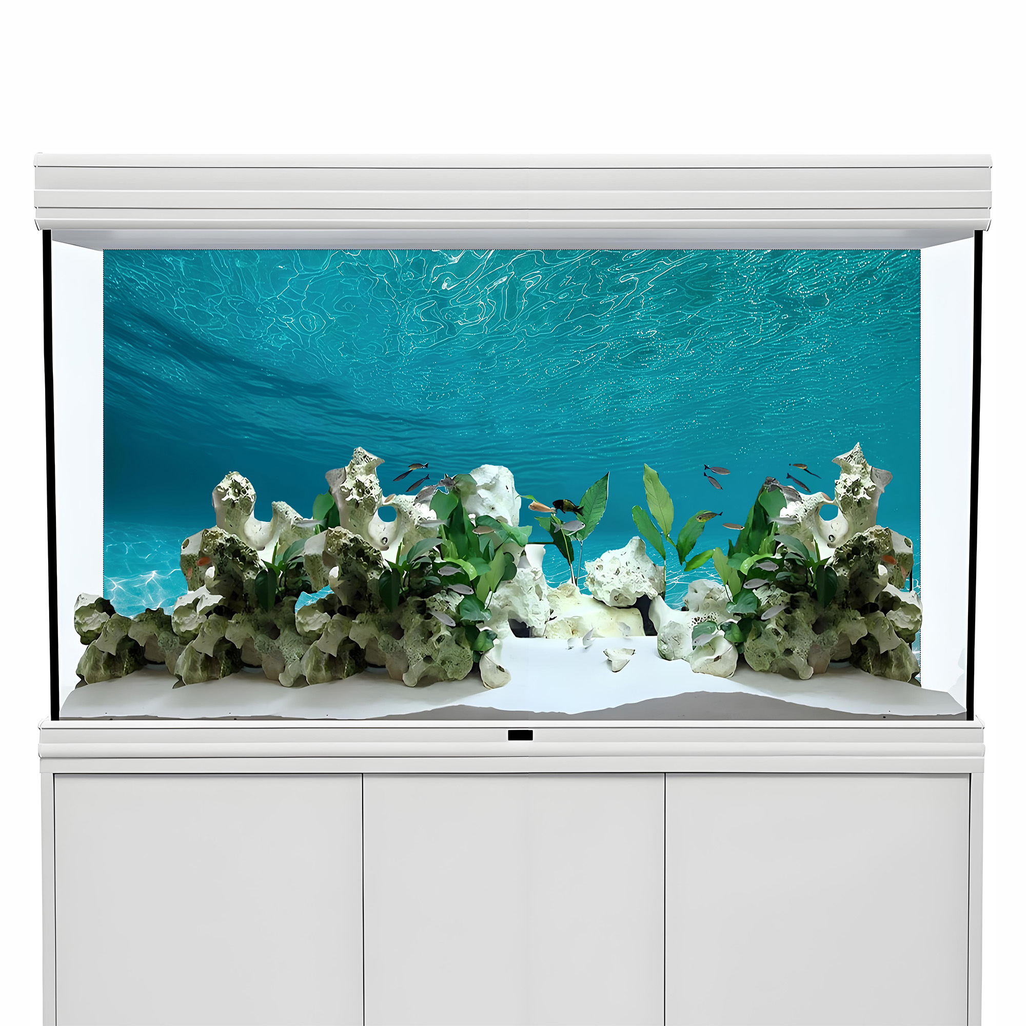 Sunshine white sand，Fish tank  - Aquarium Sand White reseña y precio