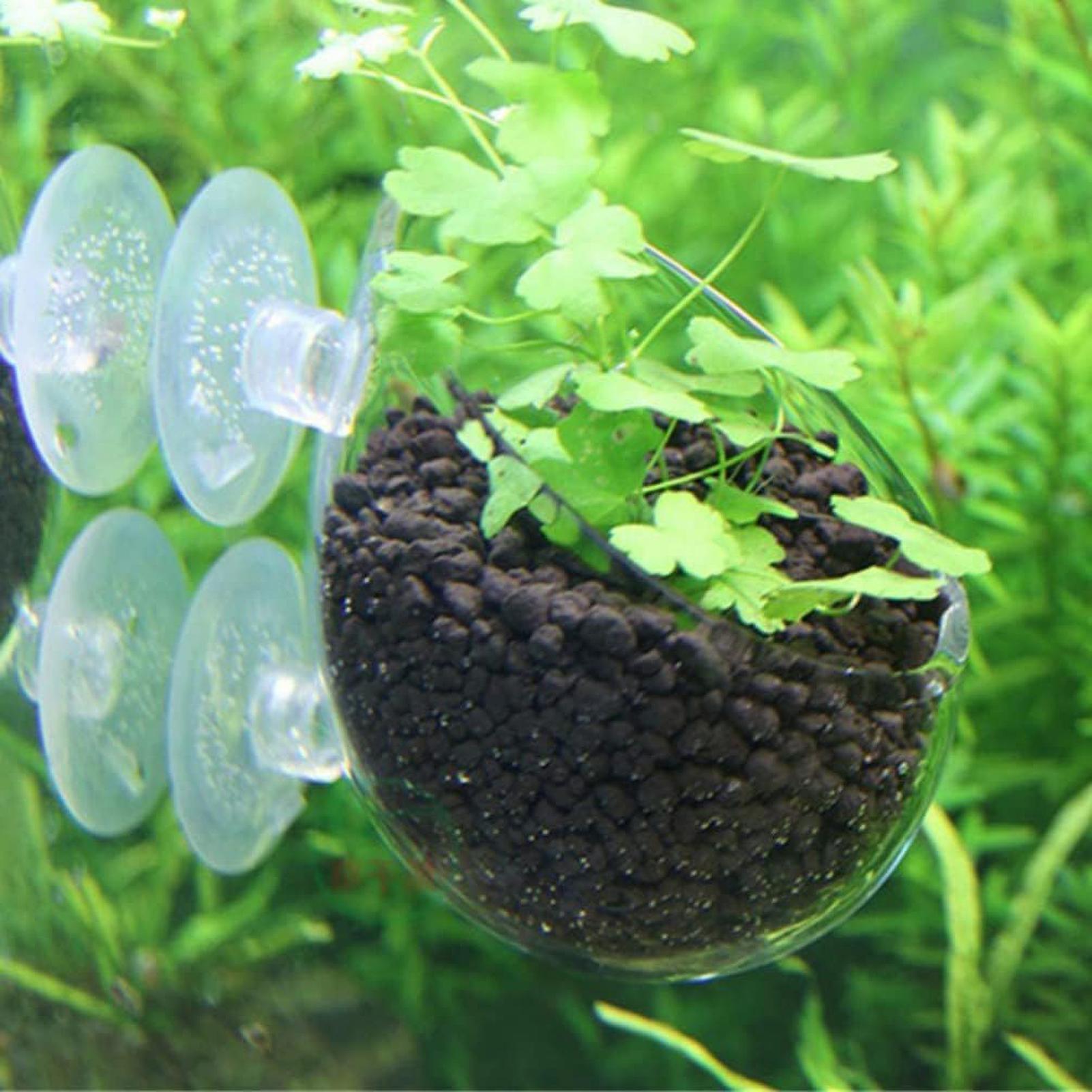 Aquarium Plant Holder Glass Aq - Aquarium Plant Vine reseña y precio
