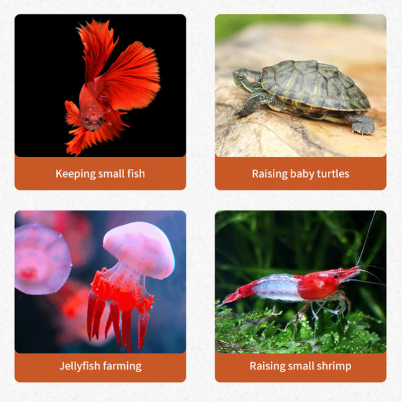 Aquarium Mini Fish Tank Reptil - Planted Aquarium Kit reseña y precio