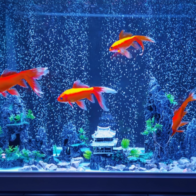 Aquarium Decor Stone Rockery C - Aquarium Sand White reseña y precio