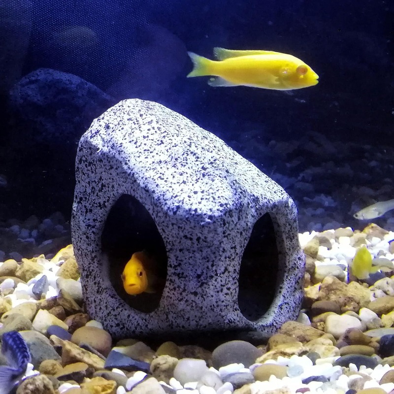 Fish Tank Cave Stone Landscapi - Aquarium Sand White reseña y precio
