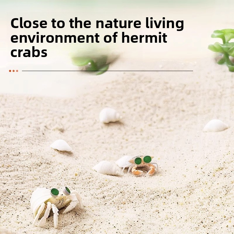 FKSC Hermit Crab Sand & Aquari - Aquarium Sand White reseña y precio