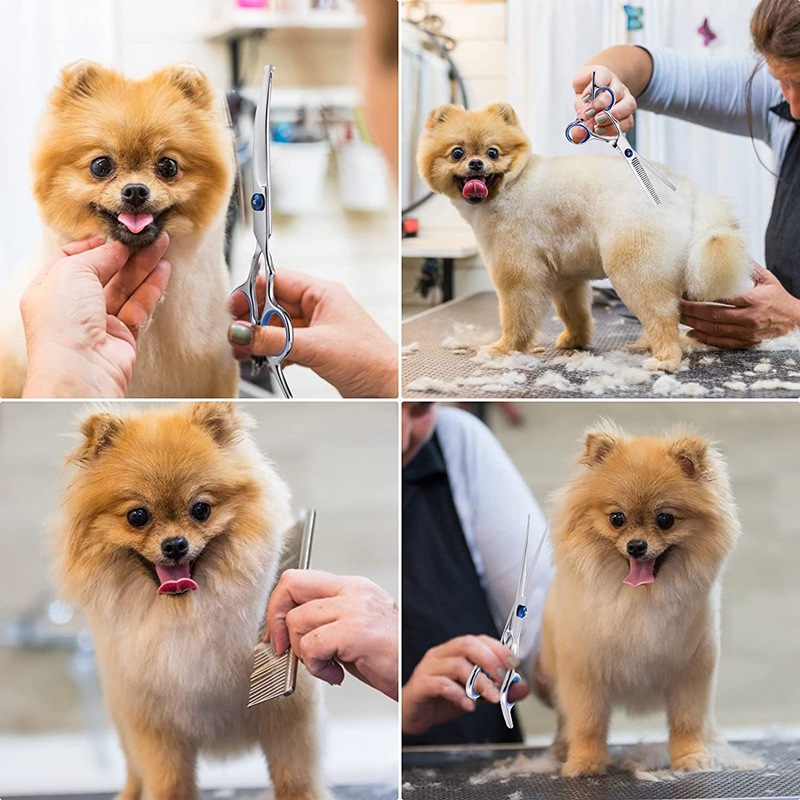 Pet Grooming Scissors Round He - Trimming Scissor Set reseña y precio